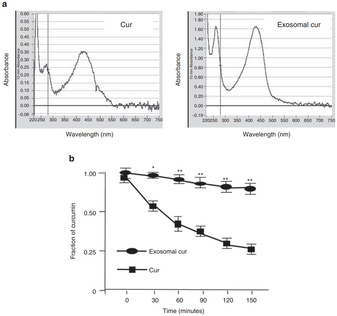 Exosomal encapsulation improves curcumin solubility and stability in PBS compared to free curcumin.